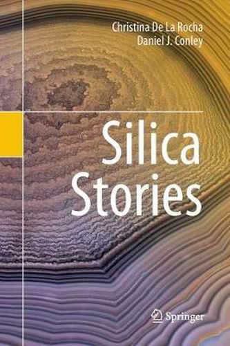 Cover image for Silica Stories