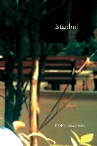 Cover image for Istanbul