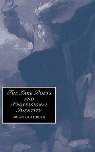 Cover image for The Lake Poets and Professional Identity