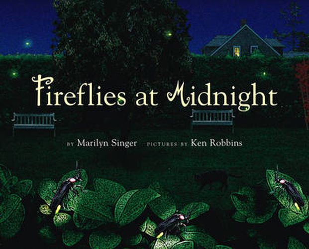 Cover image for Fireflies at Midnight