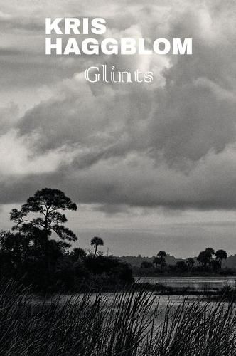 Cover image for Glints