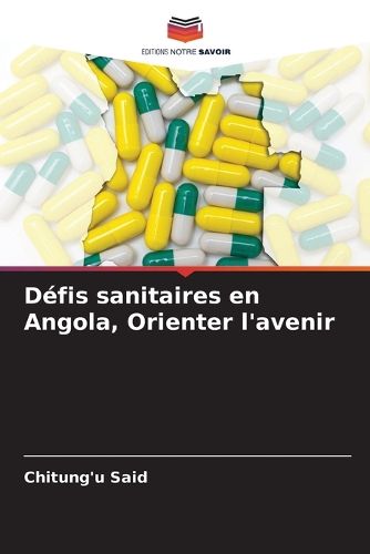 Cover image for Defis sanitaires en Angola, Orienter l'avenir