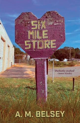 Cover image for Six Mile Store