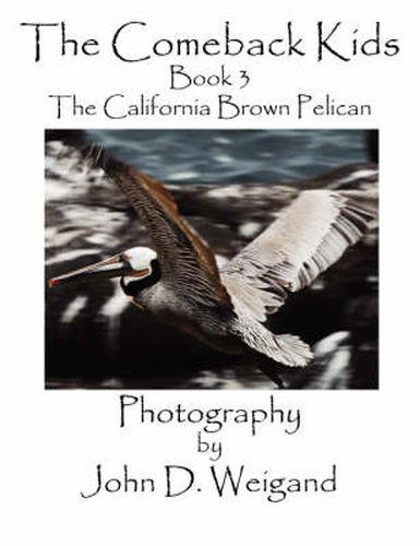 Cover image for The Comeback Kids, Book 3, the California Brown Pelican