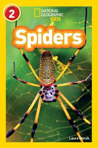 Cover image for Spiders: Level 2