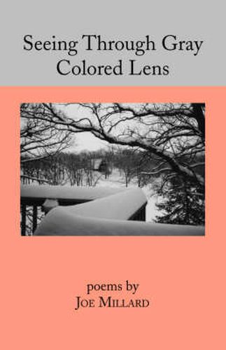 Cover image for Seeing through Gray Coloured Lens