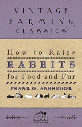 Cover image for How To Raise Rabbits For Food And Fur