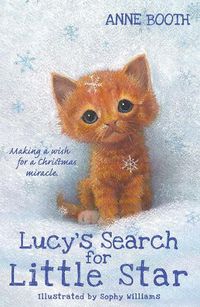 Cover image for Lucy's Search for Little Star