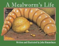 Cover image for A Mealworm's Life