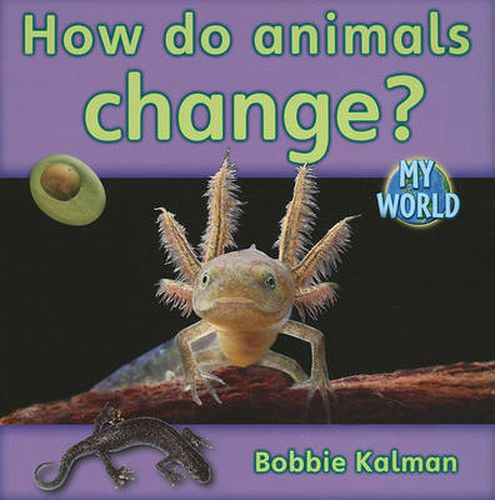 Cover image for How do animals grow and change?