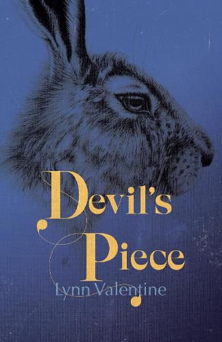 Cover image for Devil's Piece