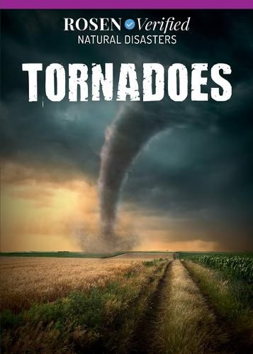 Cover image for Tornadoes