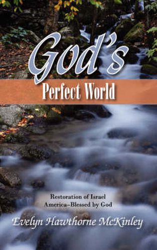 Cover image for God's Perfect World