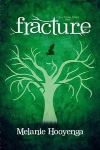 Cover image for Fracture