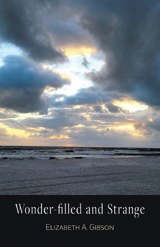 Cover image for Wonder-filled and Strange