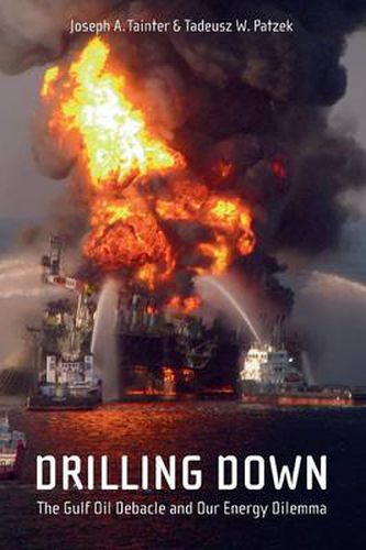 Cover image for Drilling Down: The Gulf Oil Debacle and Our Energy Dilemma