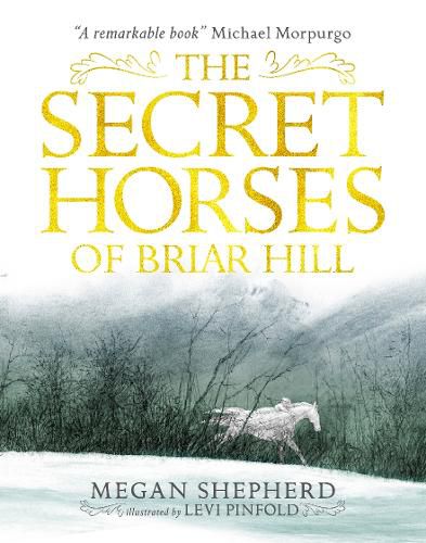 Cover image for The Secret Horses of Briar Hill
