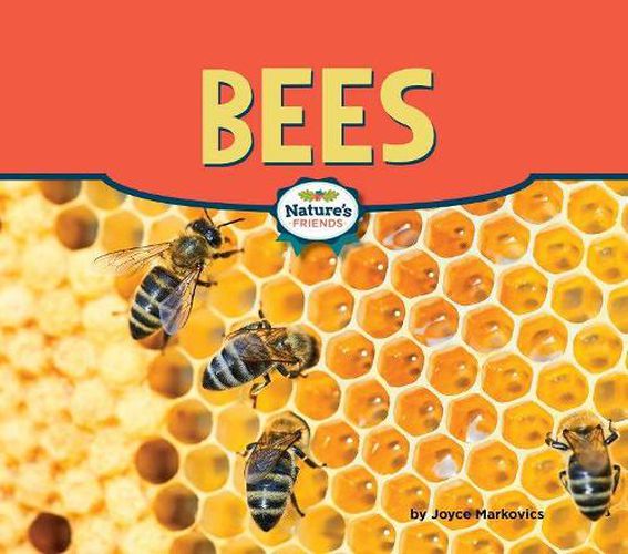 Cover image for Bees