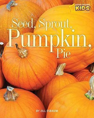 Seed, Sprout, Pumpkin, Pie