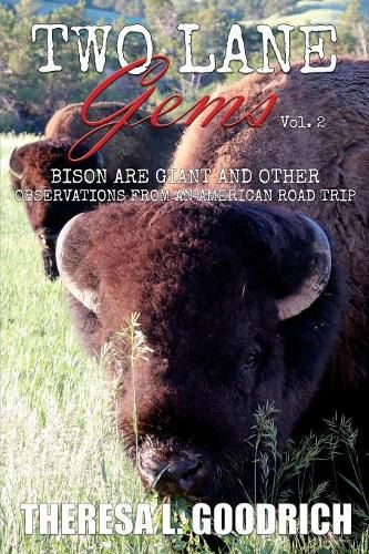 Cover image for Two Lane Gems, Vol. 2: Bison are Giant and Other Observations from an American Road Trip