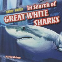 Cover image for In Search of Great White Sharks