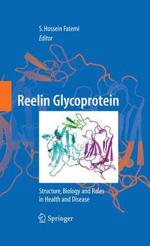 Cover image for Reelin Glycoprotein: Structure, Biology and Roles in Health and Disease