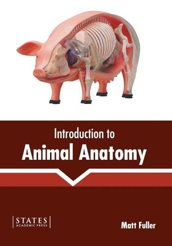 Cover image for Introduction to Animal Anatomy