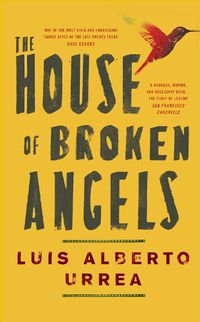 Cover image for The House of Broken Angels