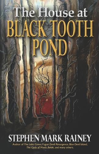 Cover image for The House at Black Tooth Pond