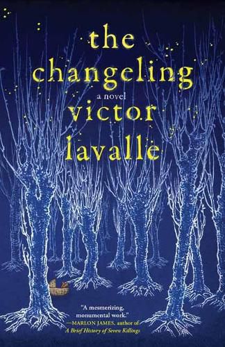 Cover image for Changeling: A Novel