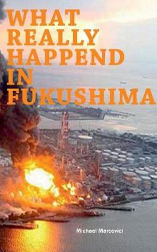 Cover image for What really happened in Fukushima: Did we learn from the disaster?