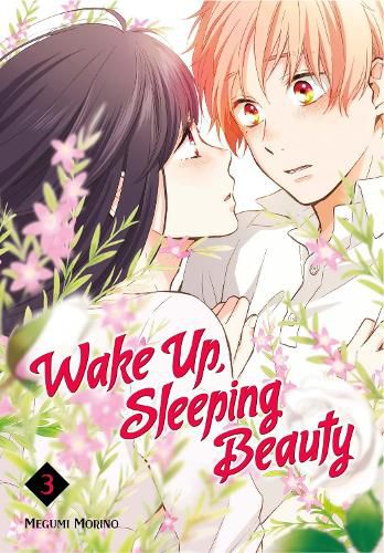 Cover image for Wake Up, Sleeping Beauty 3