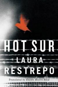 Cover image for Hot Sur