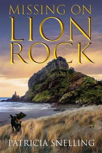 Cover image for Missing On Lion Rock