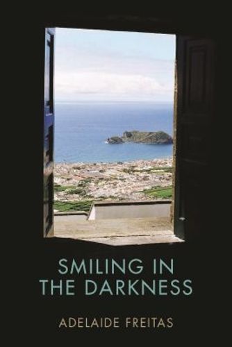 Cover image for Smiling in the Darkness