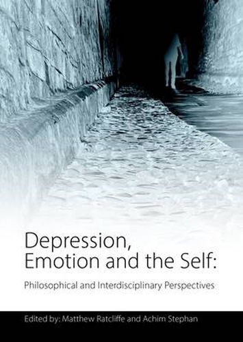 Cover image for Depression, Emotion and the Self: Philosophical and Interdisciplinary Perspectives