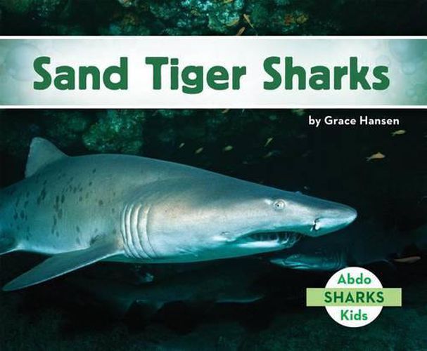 Cover image for Sand Tiger Sharks