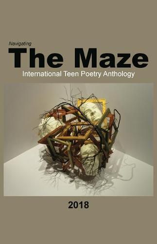 Cover image for Navigating the Maze