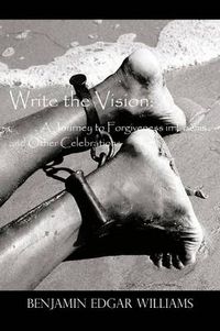 Cover image for Write the Vision