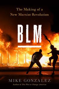 Cover image for BLM: The Making of a New Marxist Revolution