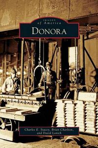 Cover image for Donora