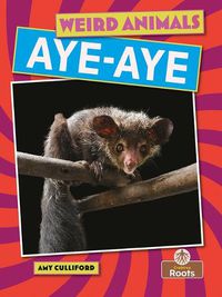 Cover image for Aye-Aye