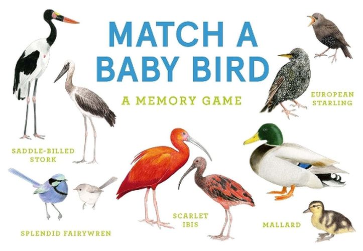 Cover image for Match a Baby Bird