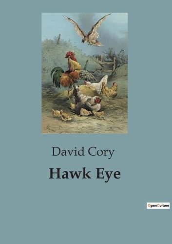 Cover image for Hawk Eye