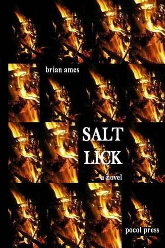 Cover image for Salt Lick