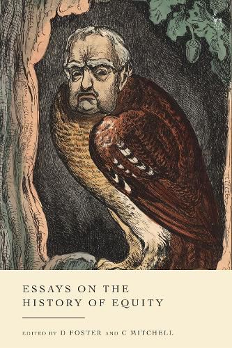 Cover image for Essays on the History of Equity