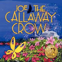 Cover image for Joe the Callaway Crow