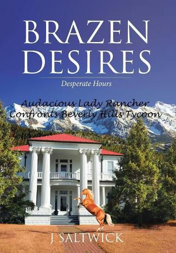 Cover image for Brazen Desires: Desperate Hours