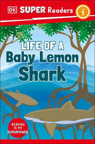 Cover image for DK Super Readers Level 1 Life of a Baby Lemon Shark