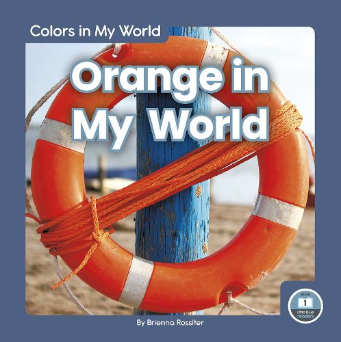 Cover image for Colors in My World: Orange in My World